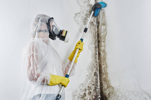 Crawl Space Mold Removal in Roseville, CA