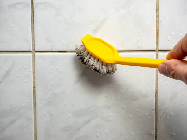 Best Emergency Mold Removal  in Roseville, CA
