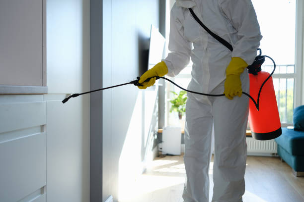 Best Mold Cleaning Services  in Roseville, CA